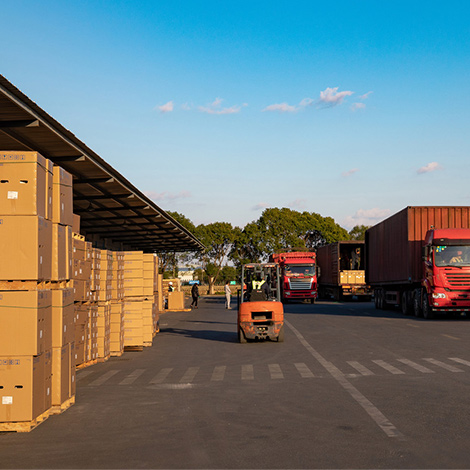 Business Delegation from Brandenburg visits North China